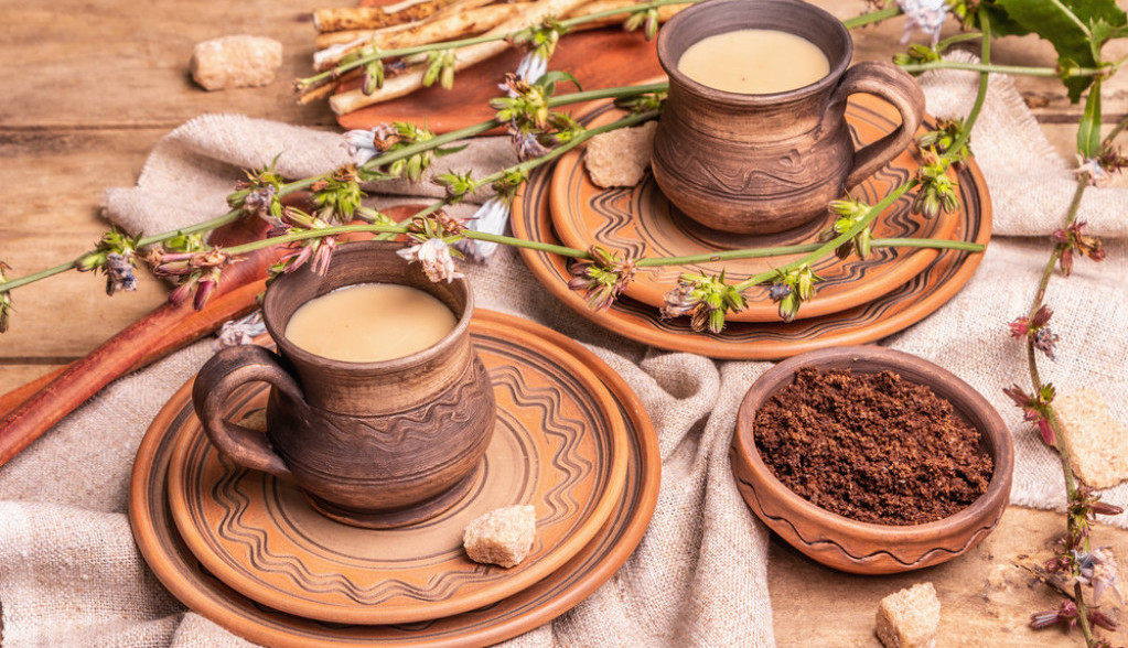 kafa od cikorije