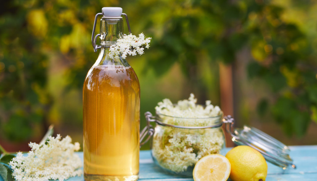 STARINSKI SOK Osvežavajući domaći sirup od zove po bakinom receptu