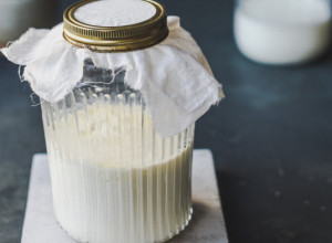 NI NALIK KUPOVNOM Domaći KEFIR uvek možete sami da napravite