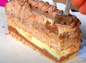POSLASTICA O KOJOJ SANJATE Penasta torta sa čokoladnom kremom, očarat će vas finim, laganim ukusom
