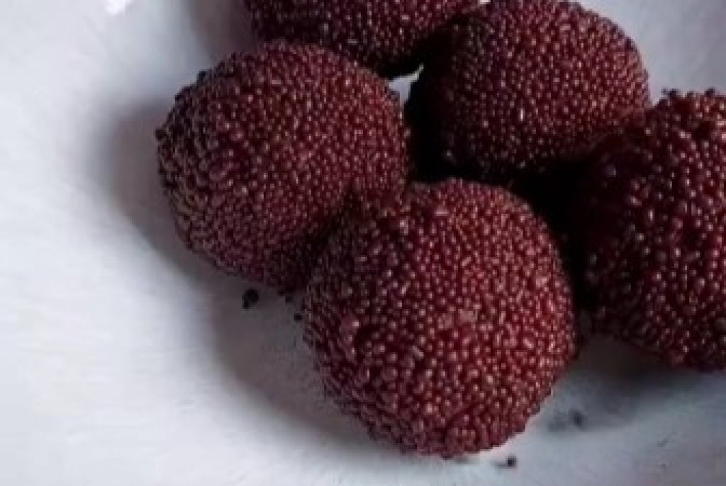 Zdrave čokoladne kuglice s višnjom od samo 3 sastojaka BEZ GLUTENA i BEZ PEČENJA  (video)