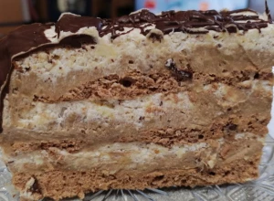 ZA LJUBITELJE ČOKOLADE Nugat plazma torta, može li savršenija kombinacija