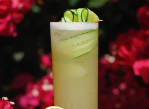 DETOKS ORGANIZMA ZA SVAKI DAN Limunada od krastavca očistiće vas od toksina!