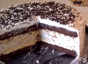 SLATKO ČUDO! Kremisimo torta je spoj fila od bele čokolade, šlaga i različitih kora, što je čini savršenom