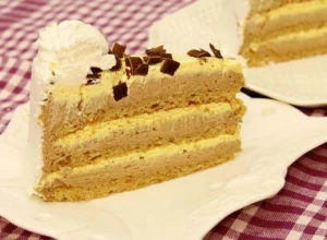 POSLASTICA ZA SVA VREMENA Plazma torta, neodoljiv ukus zadovoljstva