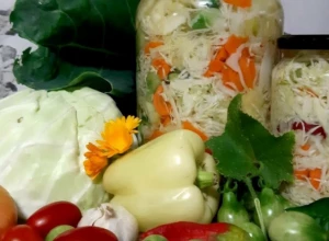 NEMA BOLJEG RECEPTA ZA ŠARENU SALATU Puna je vitamina, a može se jesti celu zimu