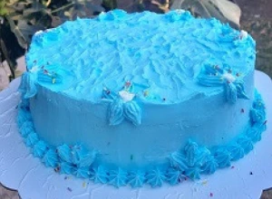 RABIN TORTA  U savršenom spoju čokolade i keksa, recept i intervju sa Natalijom Obradović
