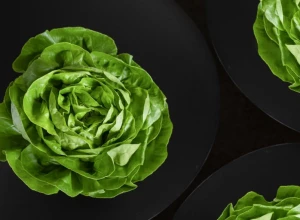 PRODUŽITE TRAJANJE ZELENOJ SALATI I DO 6 NEDELJA Biće sveža kao da je tek kupljena
