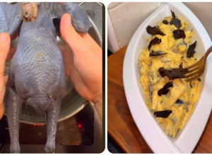SALATA OD CRNOG PILETA Meso košta oko 500 evra, a evo zašto danas o ovom receptu priča cela Srbija