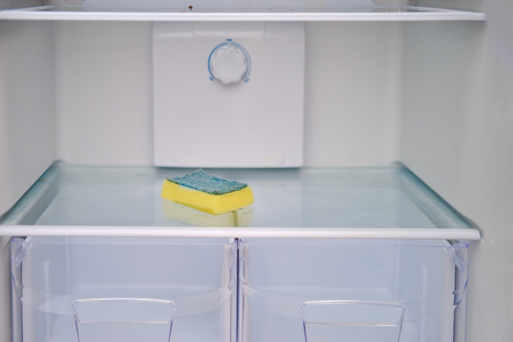 ZAŠTO TREBA SUNĐER DA DRŽITE U FRIŽIDERU Nije mu namena samo pranje sudova, a razlog će vas iznenaditi