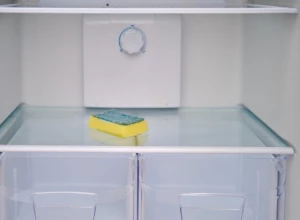 ZAŠTO TREBA SUNĐER DA DRŽITE U FRIŽIDERU Nije mu namena samo pranje sudova, a razlog će vas iznenaditi