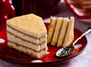 VODENA TORTA Zaboravljena jeftina poslastica skupog ukusa, sve bake su znale recept za nju