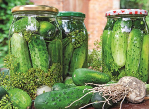 KISELI KRASTAVČIĆI Zdravija verzija omiljene sezonske salate, za gurmane i one izbirljive