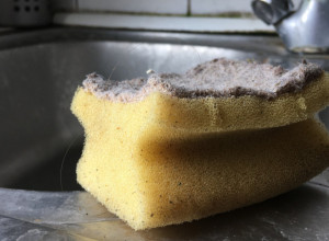 NEMOJTE DA BACATE STARI SUNĐER ZA SUDOVE Primenite ga na ovaj način, nikad se ne biste setili