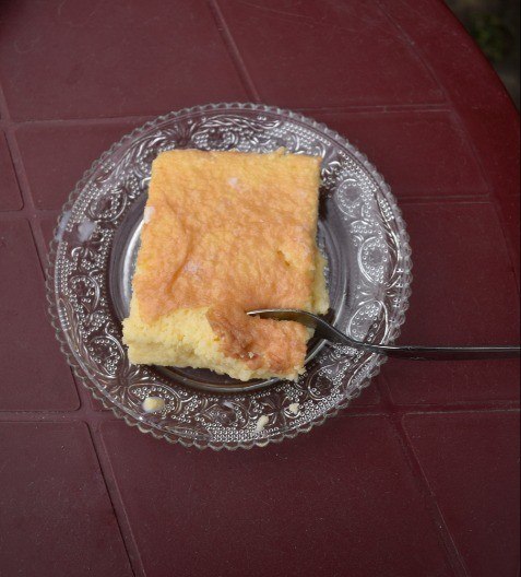 NAJBOLJI SAVETI ZA KOH IZ DETINJSTVA Neće biti presladak već sočan do poslednje mrve