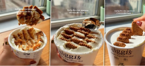 JAPANSKI ČIZKEJK ZALUDEO DOMAĆICE NA MREŽAMA Gotov za pola minuta, a kida ukusom