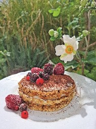 ANITIN ZDRAV TIRAMISU PODRŽAVA VITKU LINIJU I zdrav i ukusan