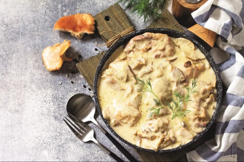 DONOSIMO VAM RECEPT ZA NAJBOLJI PILEĆI AJMOKAC Najbolji ručak