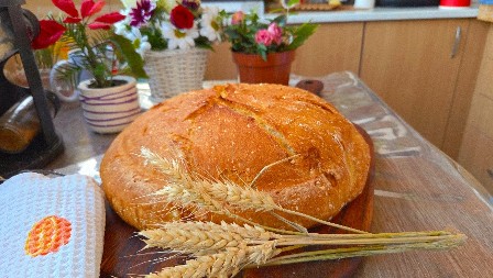 DOMAĆA POGAČA SA KANALA BAKINA KUHINJA Biće sveža i sutradan