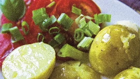 SALATA SA MLADIM LUKOM ZA SUNČANE DANE Daje energije i otvara apetit