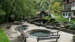 KOLAČ SA ROZEN KORAMA BOLJI OD SVAKE TORTE Savršeno ide uz šoljicu kafe